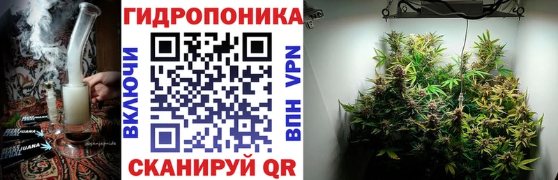 Бошки Шишки марихуана  Купить  Вяземский 